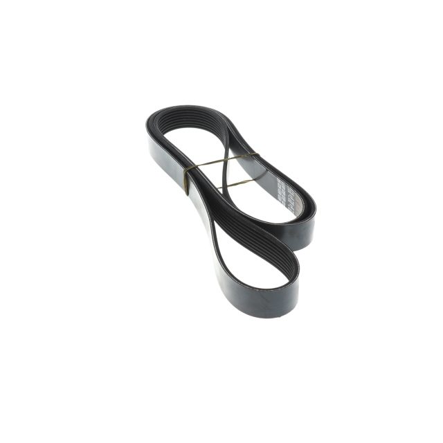 POLY RIB BELT photo 2