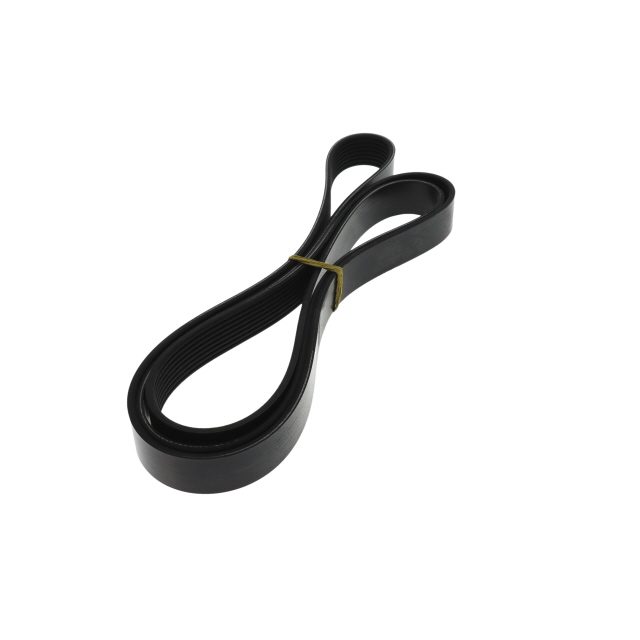 POLY RIB BELT photo 4
