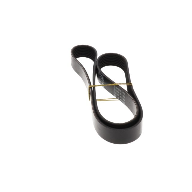 POLY RIB BELT photo 2