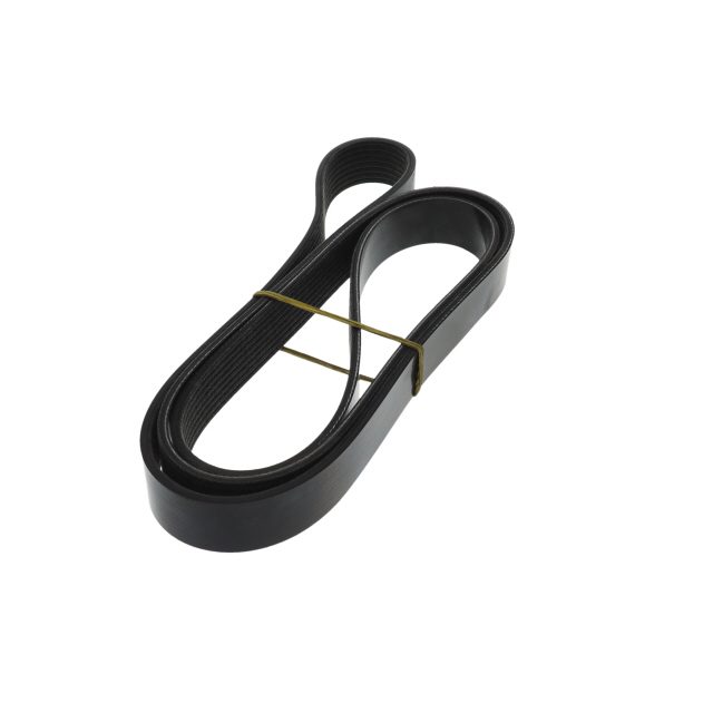 POLY RIB BELT photo 4