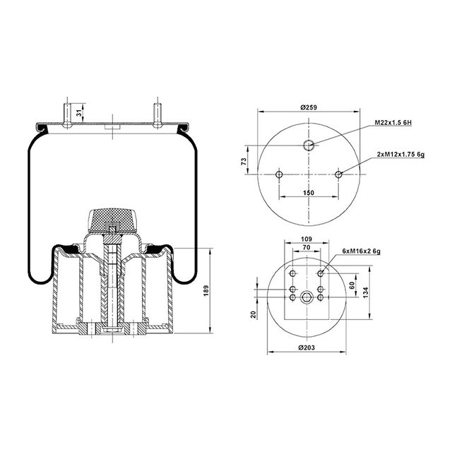 Air Spring Assembly To Suit BPW