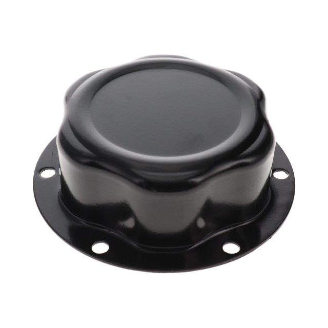 HUB CAP photo 2