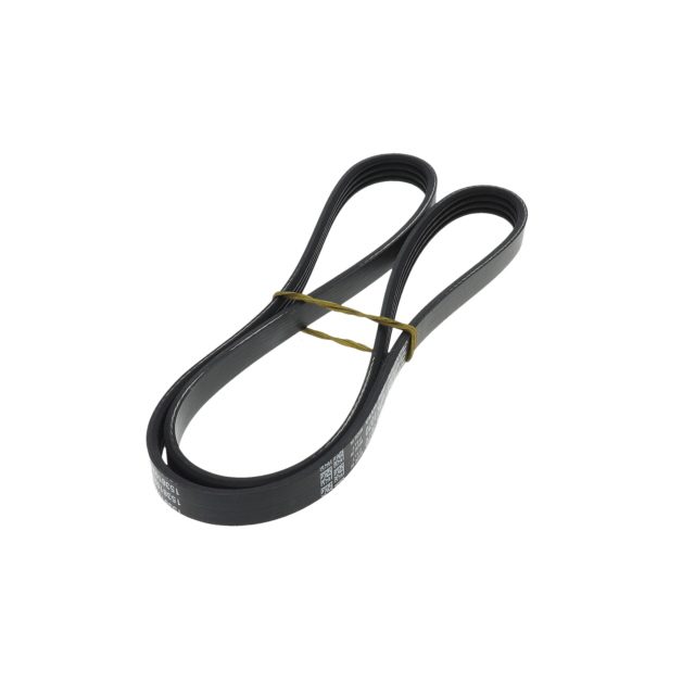 POLY RIB BELT photo 4