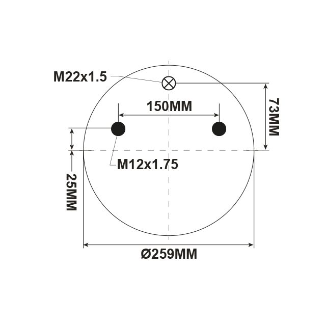 AIR SPRING ASSEMBLY (ASK020) STEEL PISTON BPW photo 2