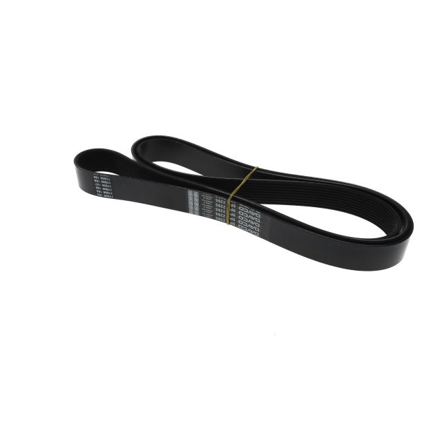 POLY RIB BELT photo 3