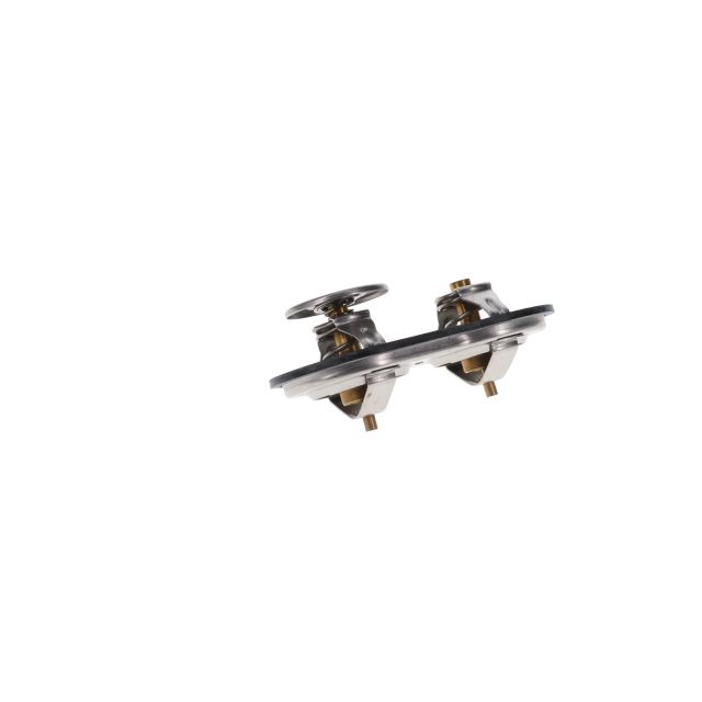 DOUBLE THERMOSTAT KIT FOR SCANIA 88C photo 3