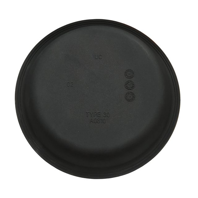 T30 SERVICE DIAPHRAGM