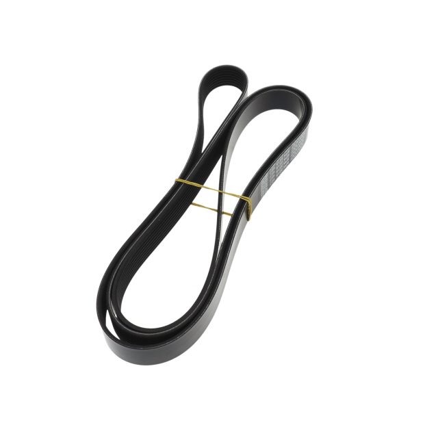 POLY RIB BELT photo 4