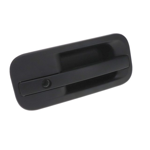 DOOR HANDLE RH