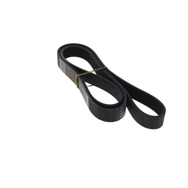 POLY RIB BELT photo 2