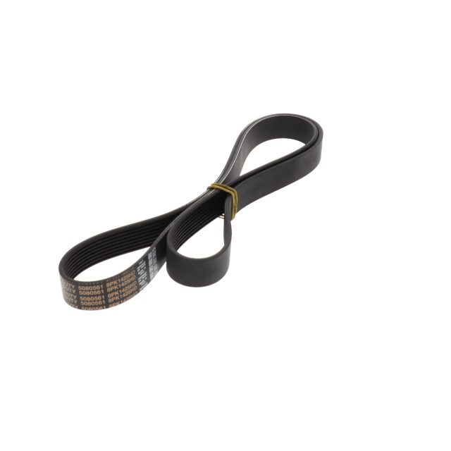 POLY RIB BELT photo 4