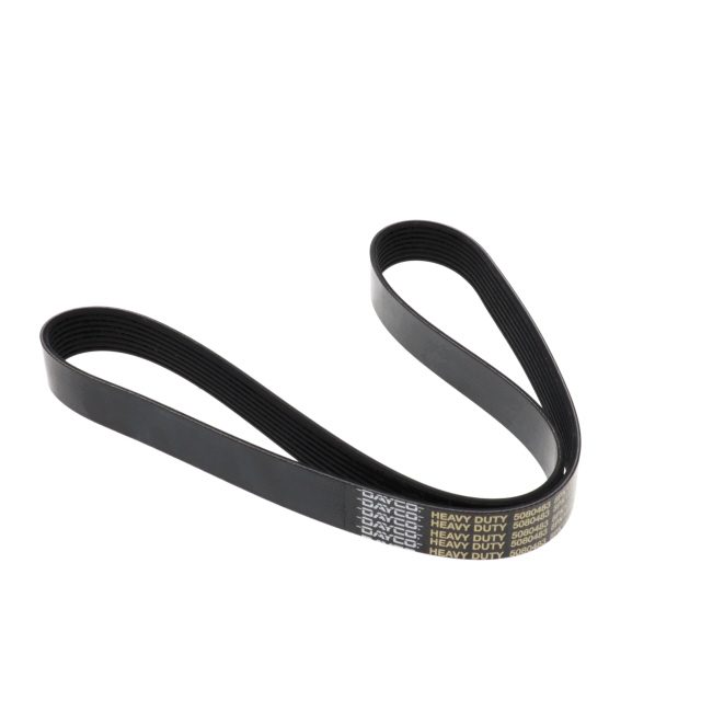 POLY RIB BELT photo 3