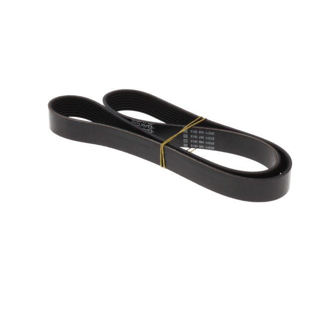 POLY RIB BELT