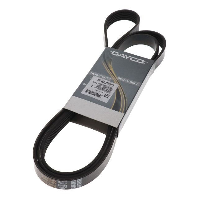POLY RIB BELT photo 2