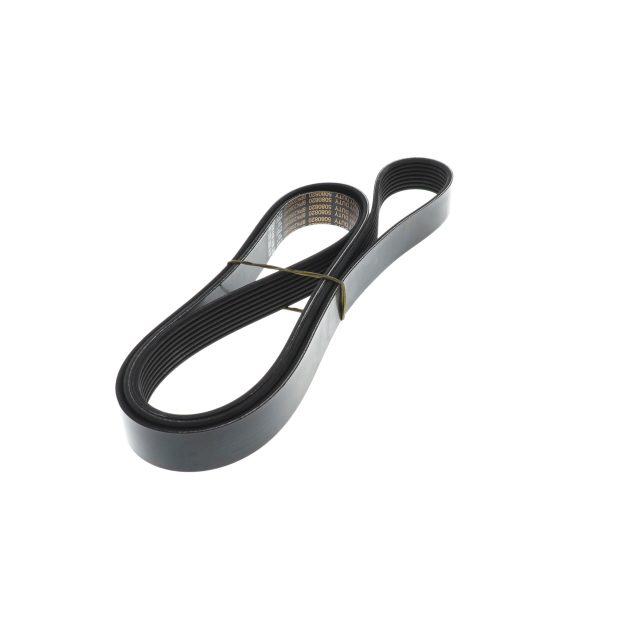 POLY RIB BELT photo 4
