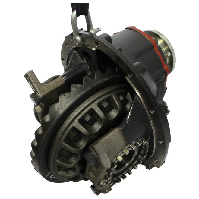 Differential REMAN