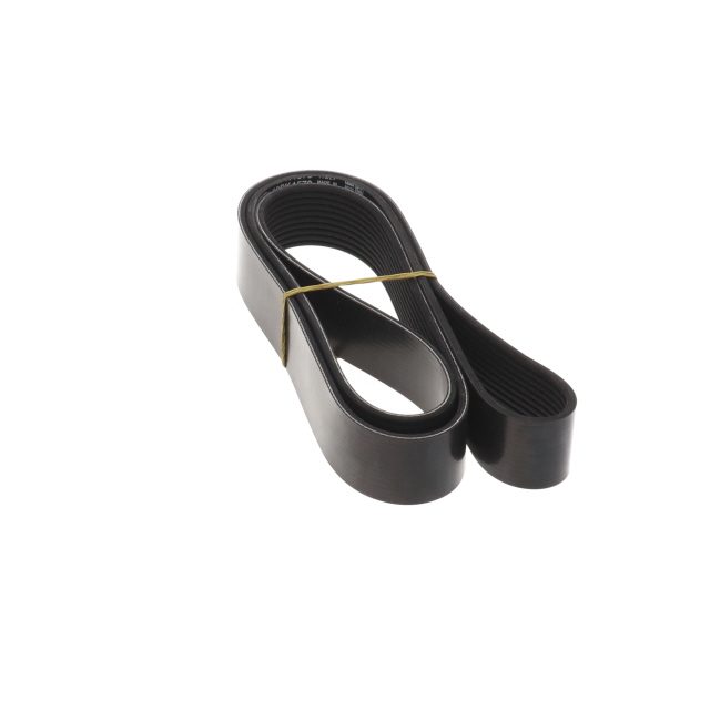 POLY RIB BELT photo 2