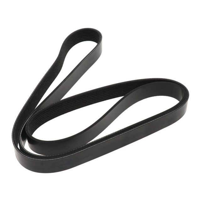 Poly Rib Belt - To Suit DAF