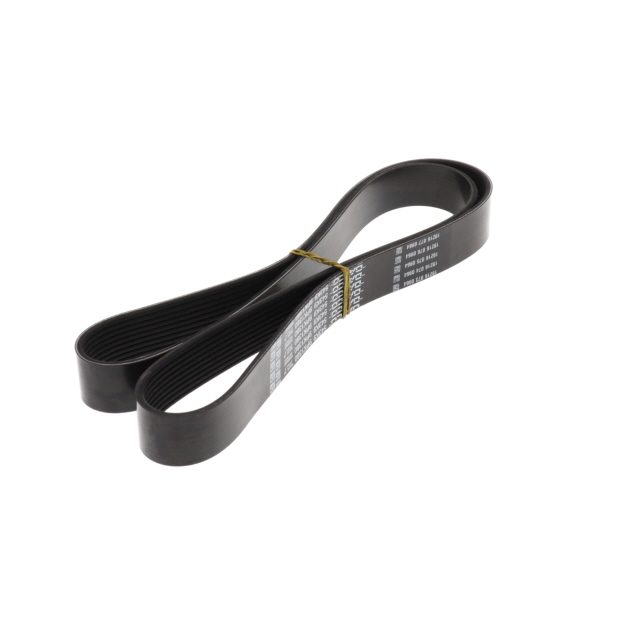 POLY RIB BELT photo 4