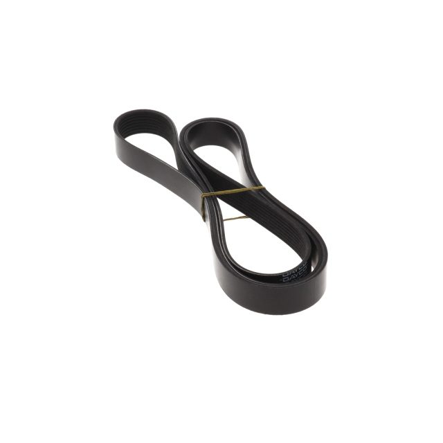 POLY RIB BELT photo 2