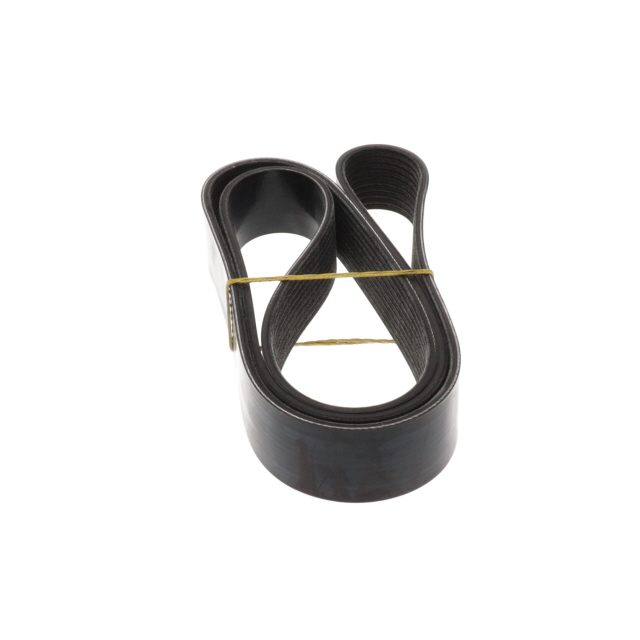 POLY RIB BELT photo 2