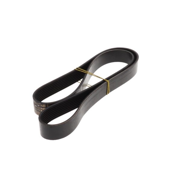 POLY RIB BELT photo 4
