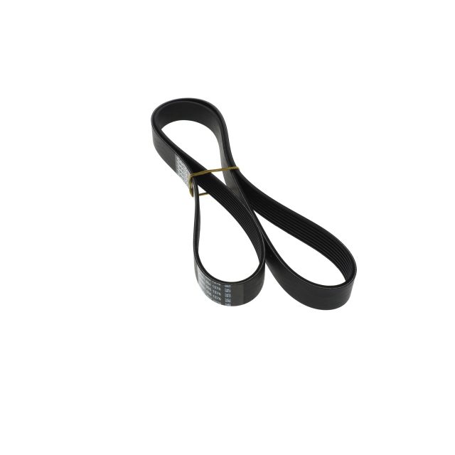 POLY RIB BELT photo 2