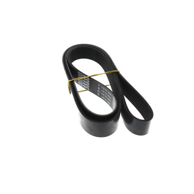 POLY RIB BELT photo 2