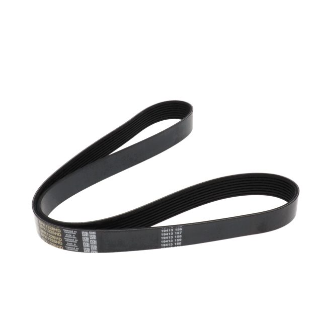 POLY RIB BELT photo 4
