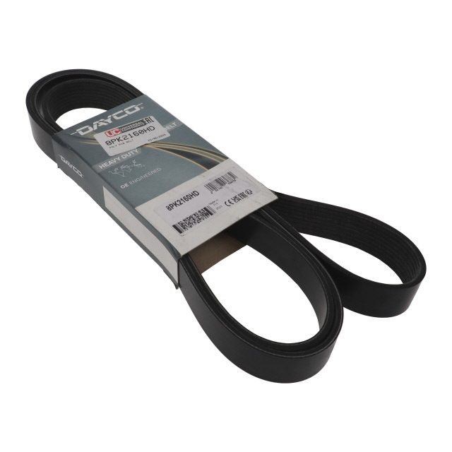 POLY RIB BELT photo 2
