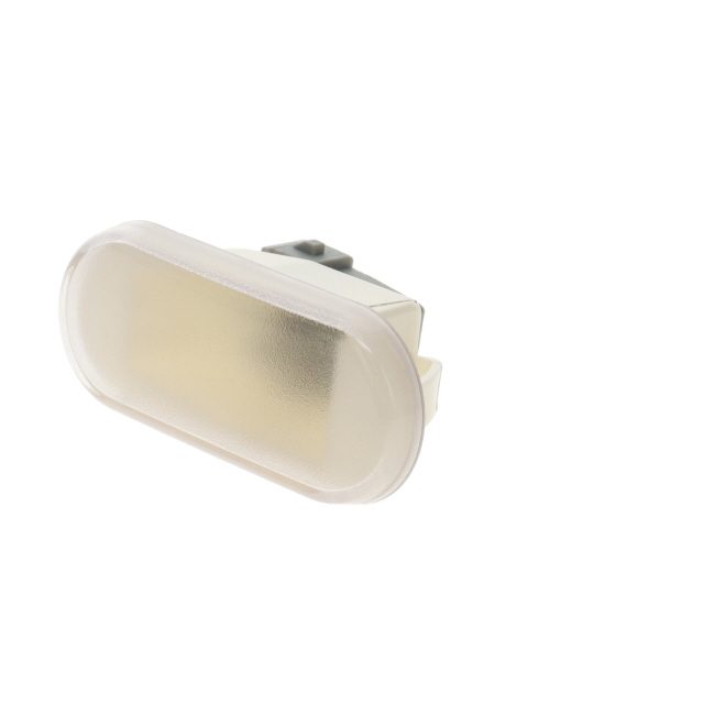 STEP WELL LAMP RH LH TO SUIT MAN photo 2