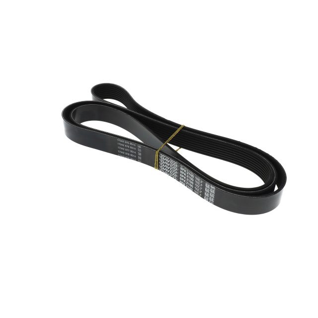 POLY RIB BELT photo 3