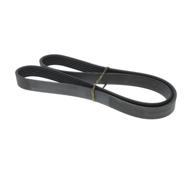 POLY RIB BELT photo 3