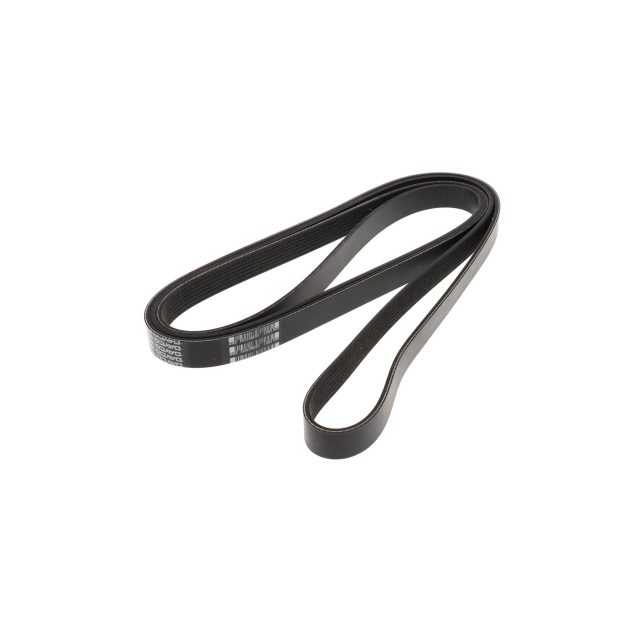POLY RIB BELT