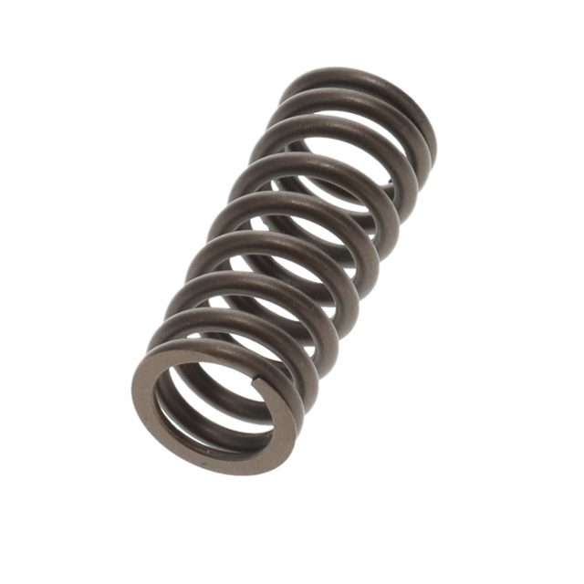 VALVE SPRING TO SUIT MAN photo 4