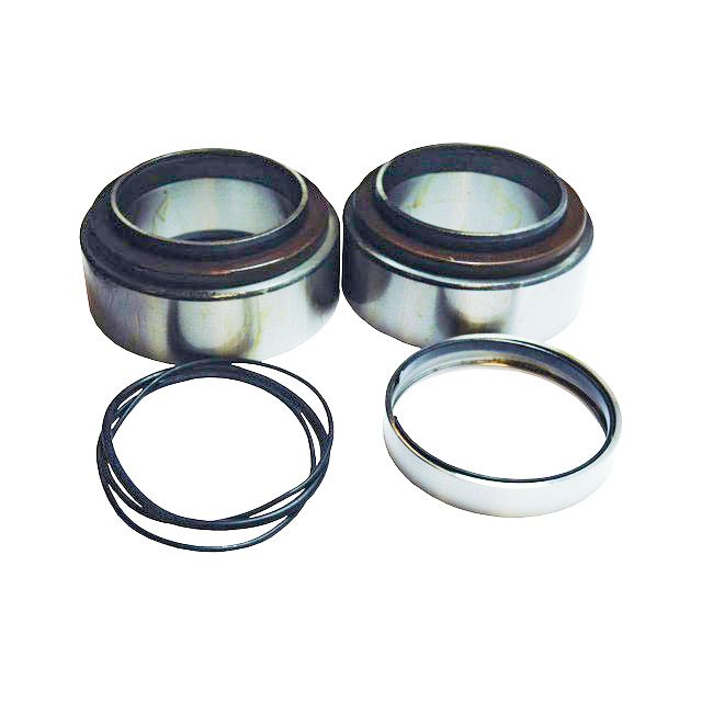 Rear Wheel Bearing and Seal Kit