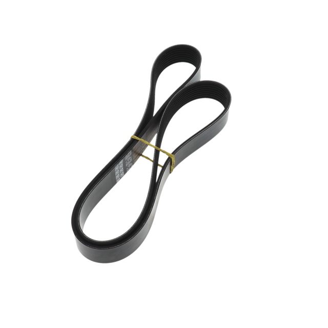 POLY RIB BELT photo 4