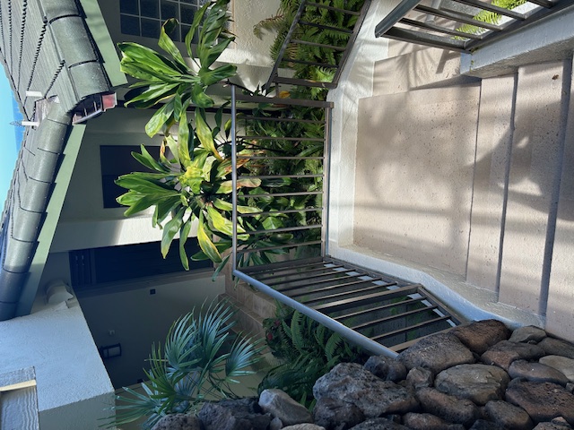 Stone path approach with tropical plants