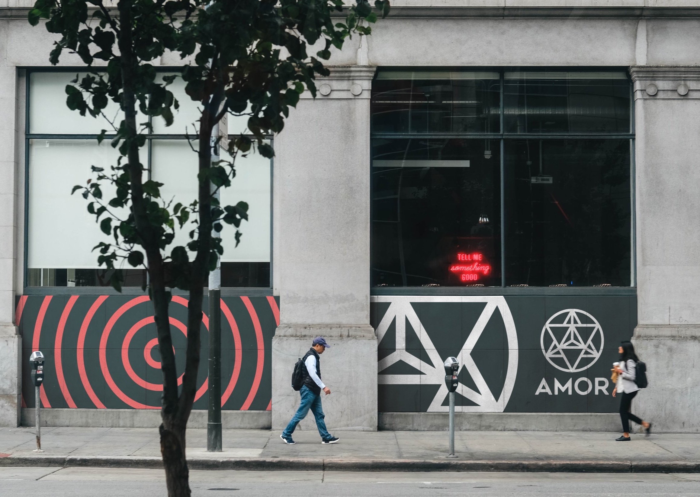 MonkeyWolf commercial fleet wrap project in South Florida