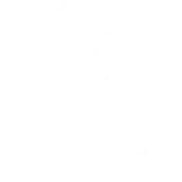 Weight Loss Safety icon