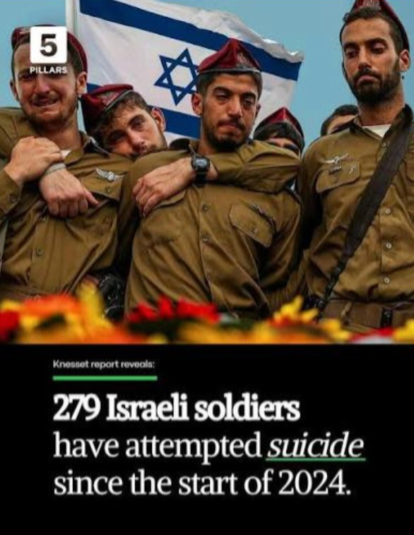 Shirel Golan, Nova survivor