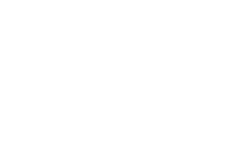 Lincoln Financial Group