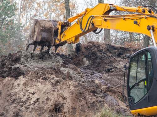 Selective Demolition 