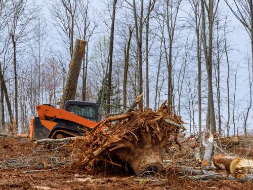 Land Clearing Burlington