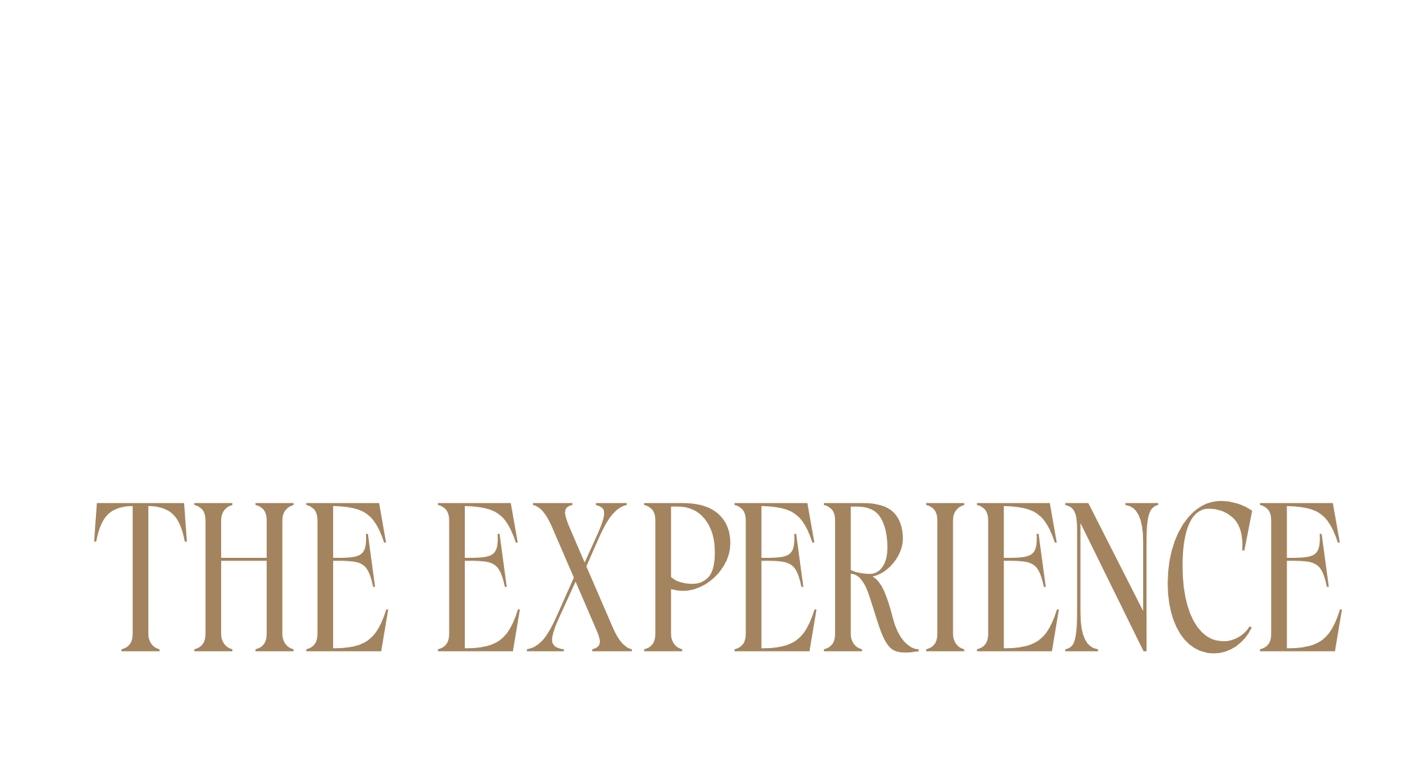 Elevate The Experience