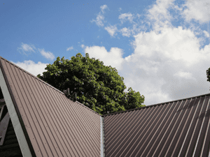  in Rutherfordton County