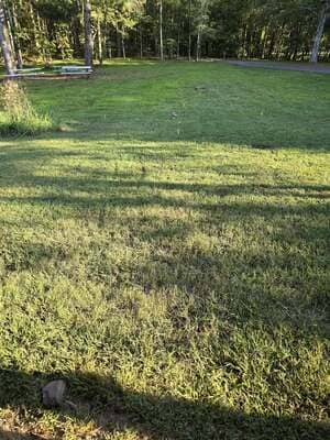 {{ custom_values.service_3 }} in {{custom_values.area_2})