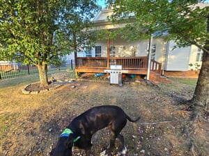 {{ custom_values.service_3 }} in {{custom_values.area_3})