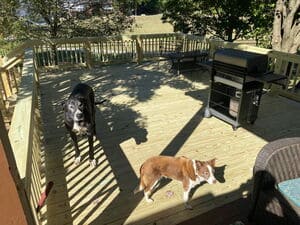 {{ custom_values.service_3 }} in {{custom_values.area_3})