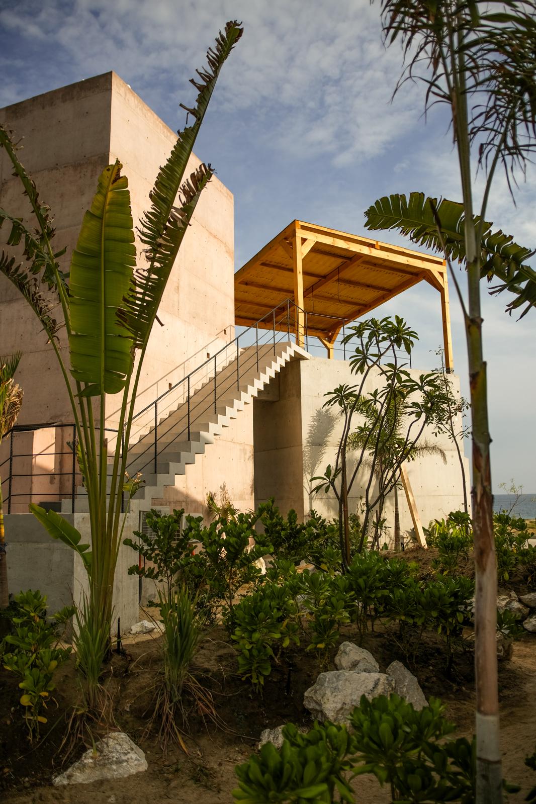 Concrete staircase leading to a terrace, surrounded by tropical plants near the ocean in Puerto Escondido, an example of tropical brutalism architecture.